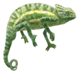 African Chameleon ##STADE## - scale 72